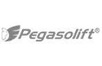 Pegasolift