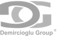 Demircioğlu Group
